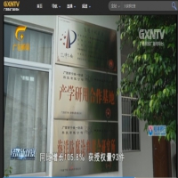 維一強(qiáng)創(chuàng)新-廣西電視臺報道